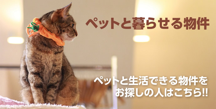 ペットと生活できる物件をお探しの人はこちら!!
